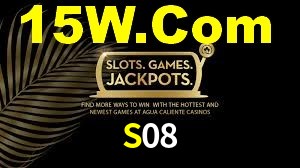 Premium Interface S08